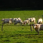 De La Blanche Ferme Pres De Pairi Daiza