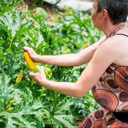 De La Blanche Ferme Pres De Pairi Daiza Prázdninový dům Lessines
