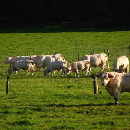 De La Blanche Ferme Pres De Pairi Daiza